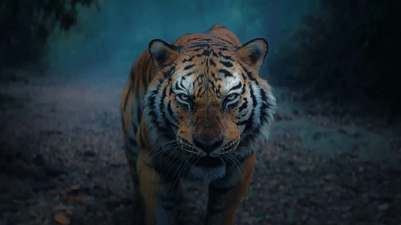 Kantara: Chapter 1 Movie Screenshot 5