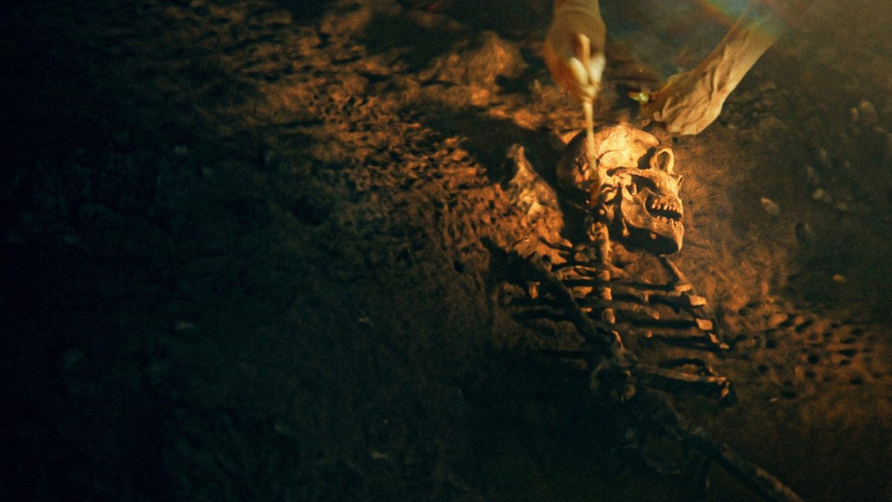 Secrets of the Neanderthals Movie Screenshot 1