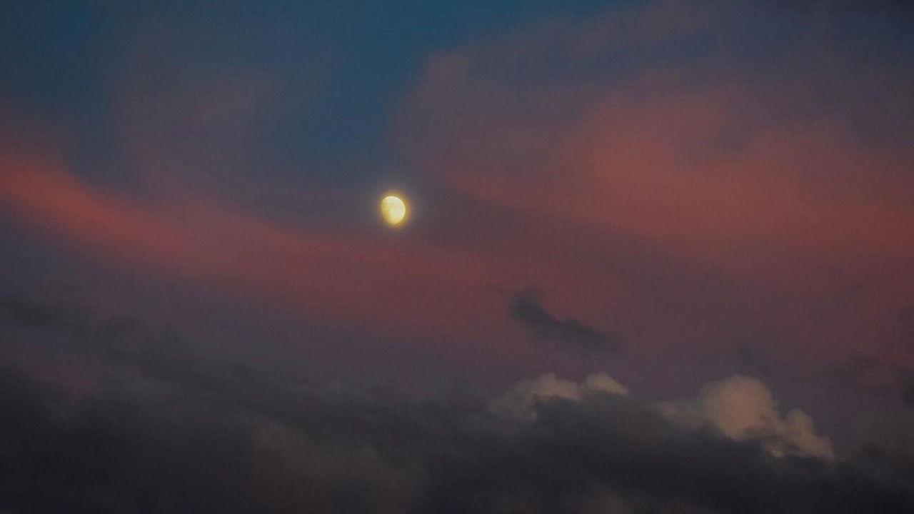 Saudade Movie Screenshot 2