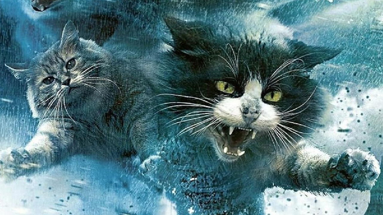 Catnado Movie Screenshot 2