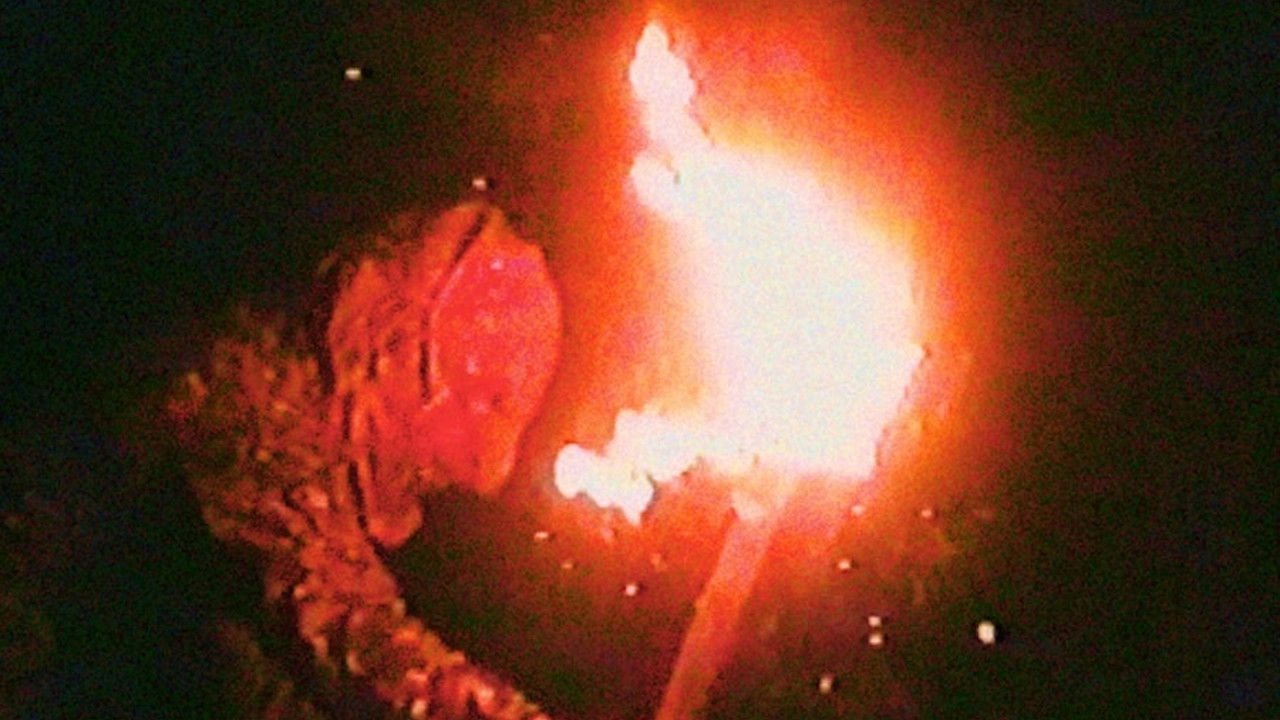 BUM Movie Screenshot 4