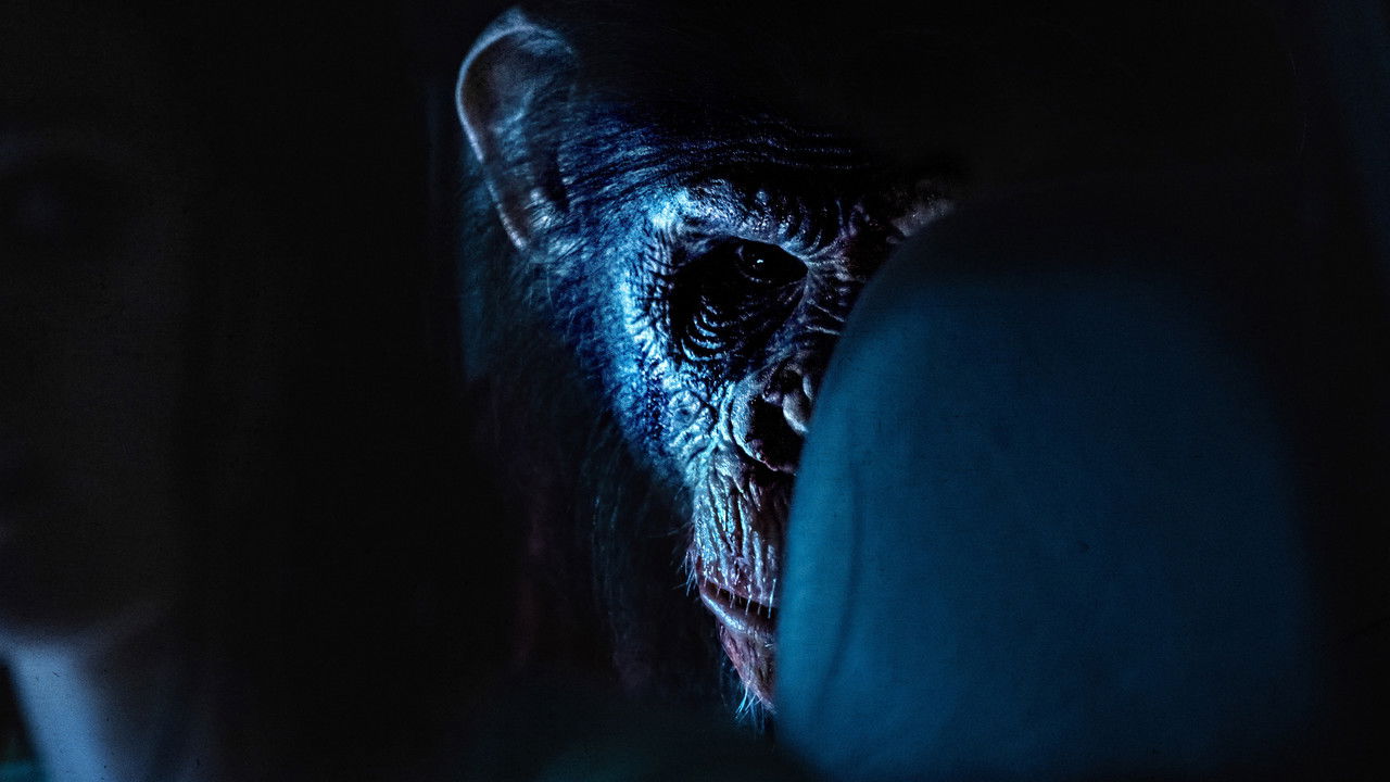 Primate Movie Screenshot 1