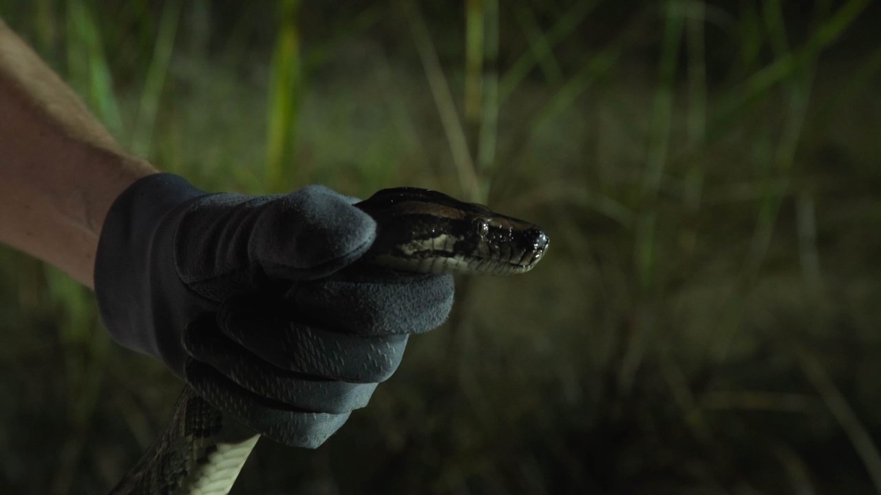 River of Grass Movie Screenshot 1