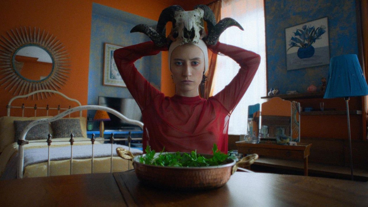 The Night Screening Movie Screenshot 1