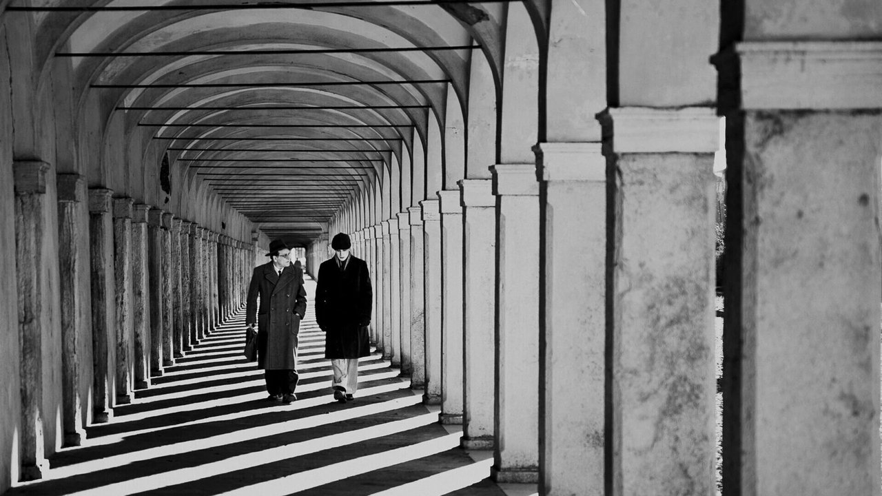 The American Backyard Movie Screenshot 1