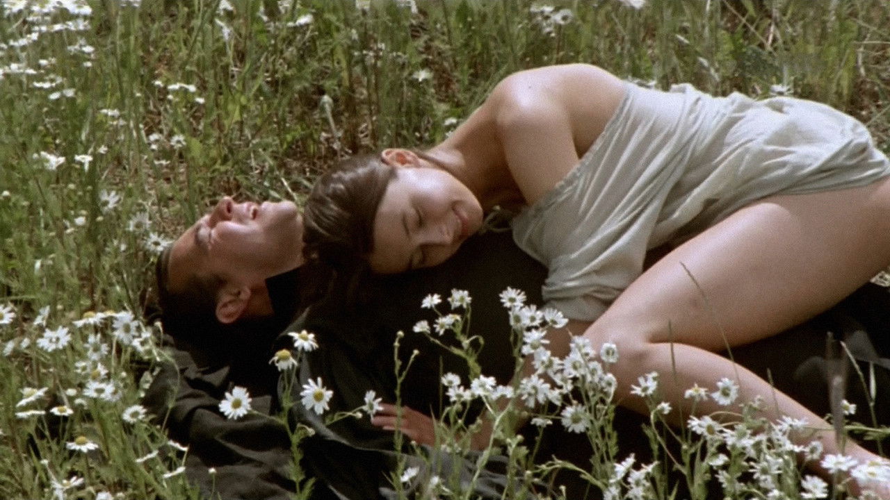 Devilish Education Movie Screenshot 3