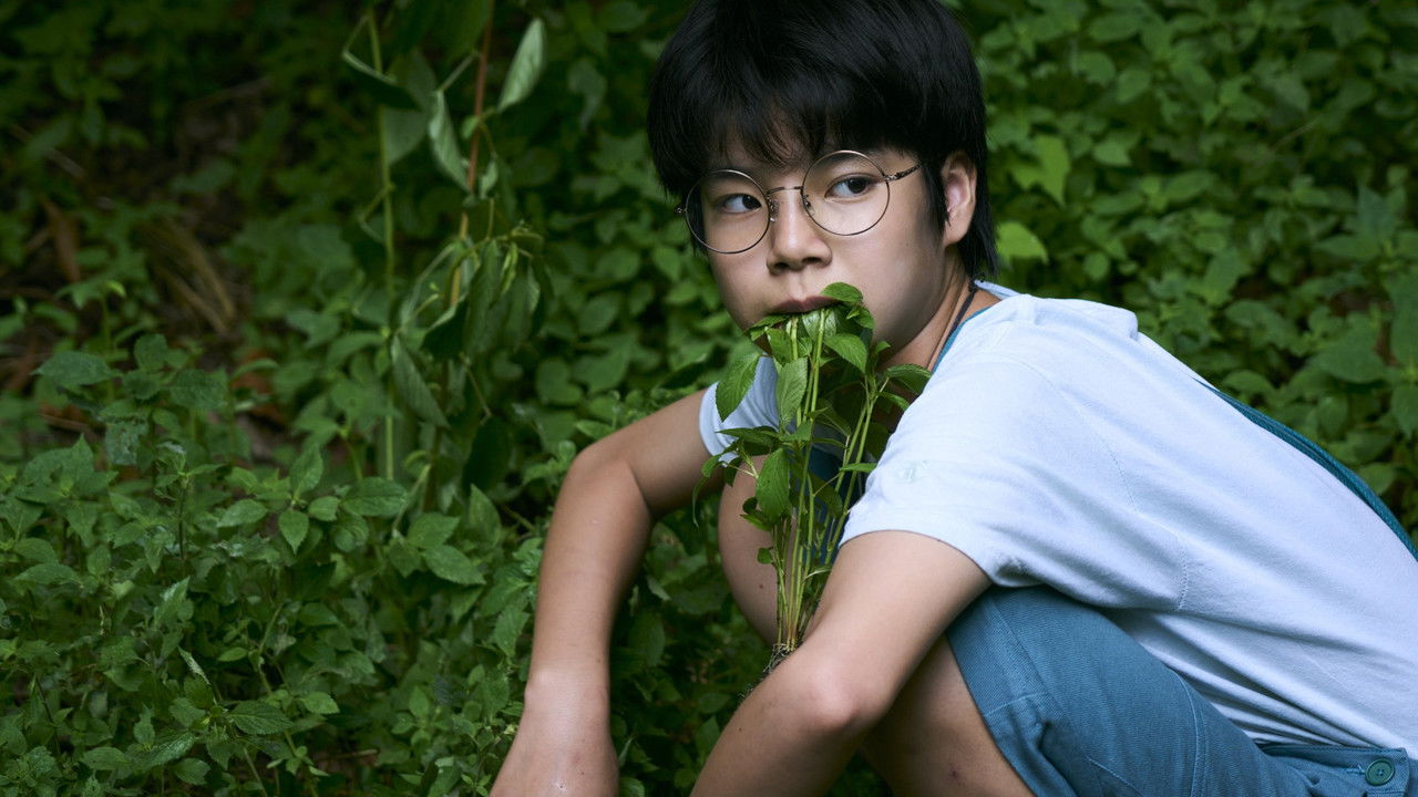 Route29 Movie Screenshot 3