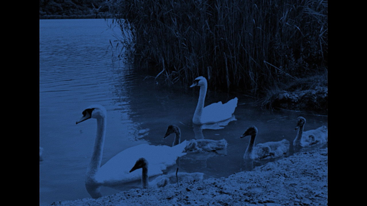 Crimes of a Cavalier Movie Screenshot 4