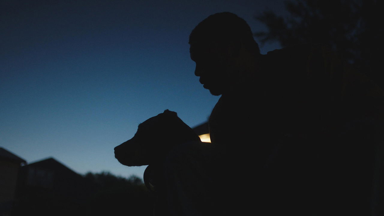 Young King Movie Screenshot 3