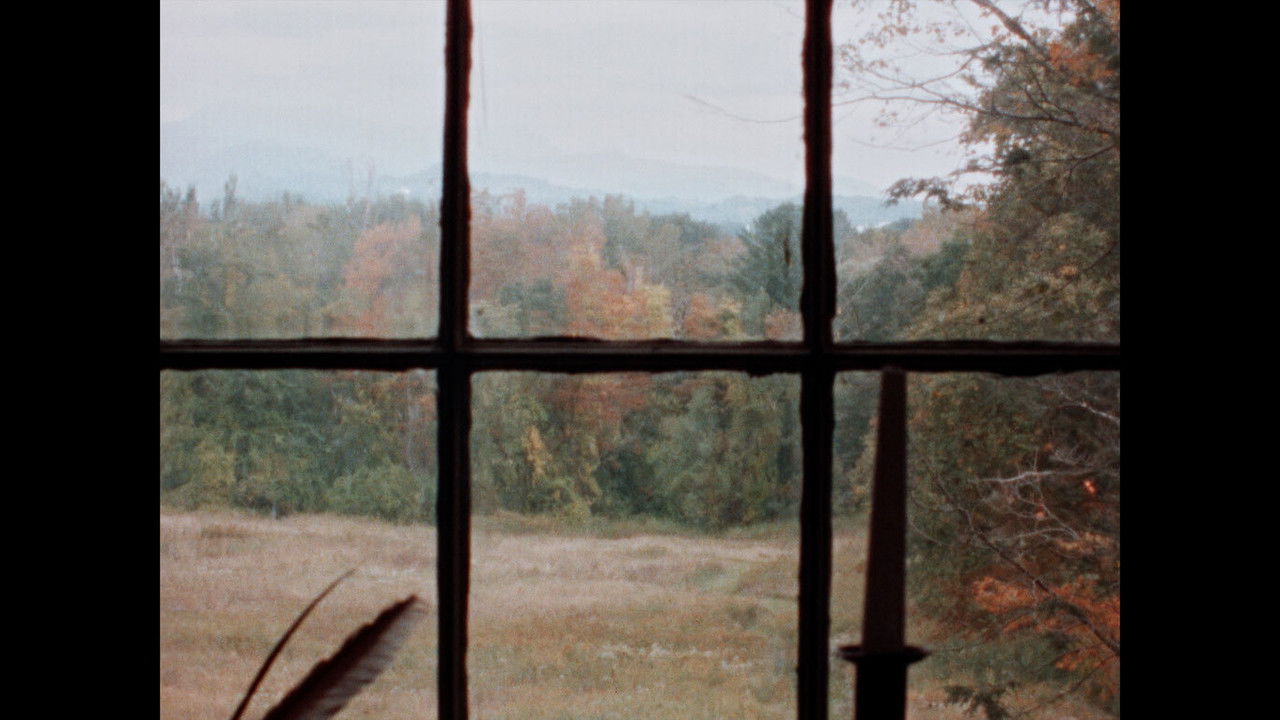 B for Bartleby Movie Screenshot 1