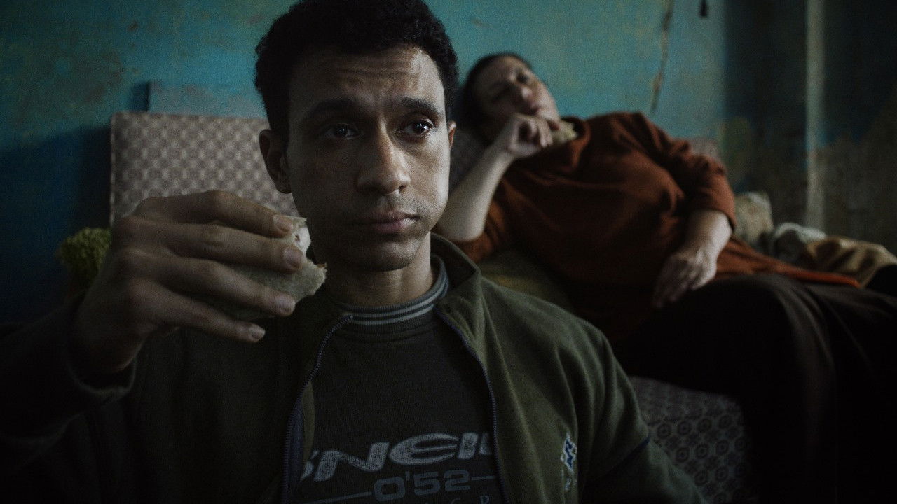 Seeking Haven for Mr. Rambo Movie Screenshot 2