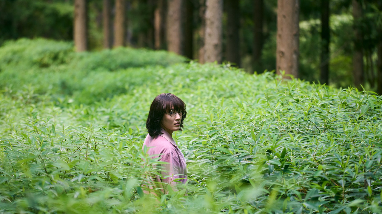 Route29 Movie Screenshot 1