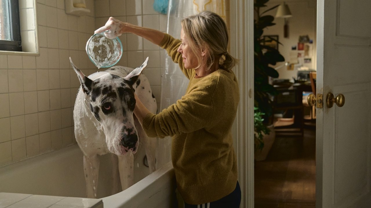 The Friend Movie Screenshot 4